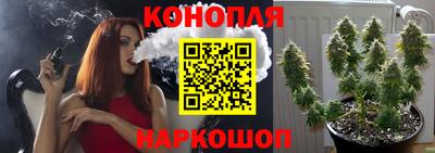 шишки Будённовск
