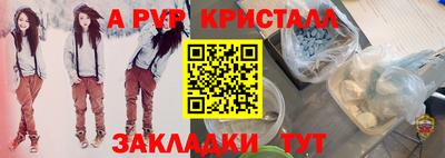 шишки Будённовск