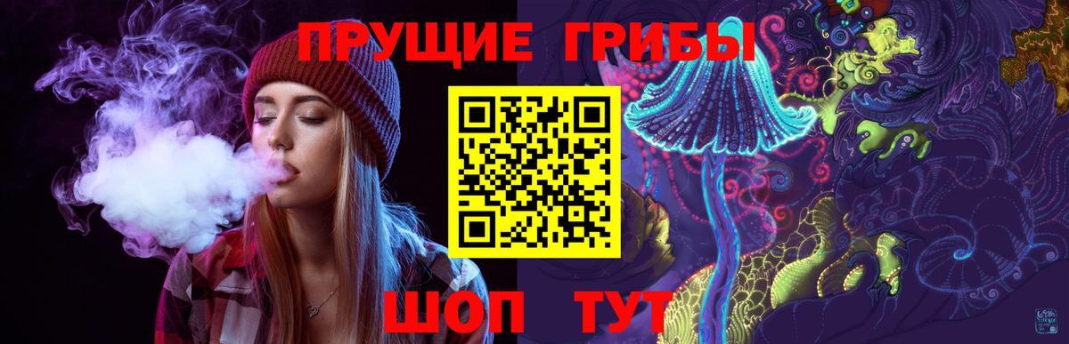 где купить наркотик  Вход с VPN  Лесозаводск  Псилоцибиновые грибы MAGIC MUSHROOMS 